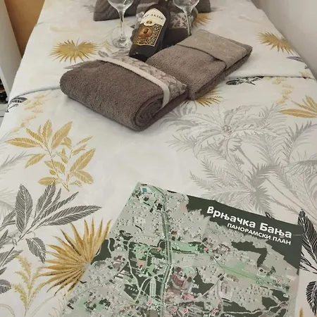 Apartament Vigo Lux Vrnjačka Banja